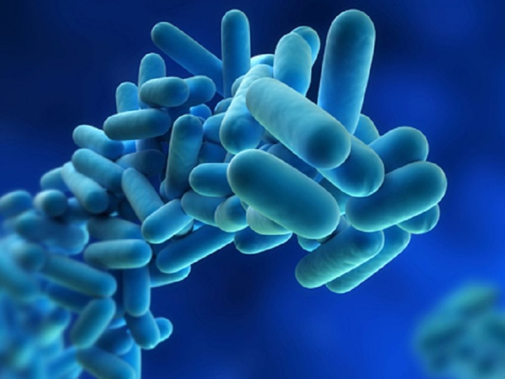 Probiotici, le nuove linee guida americane ne sconsigliano l'uso in gran parte delle condizioni gastroenterologiche