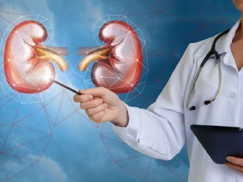 Carcinoma a cellule renali avanzato o metastatico: arrivano conferme di prolungamento della sopravvivenza a 8 anni per nivolumab più ipilimumab rispetto a sunitinib