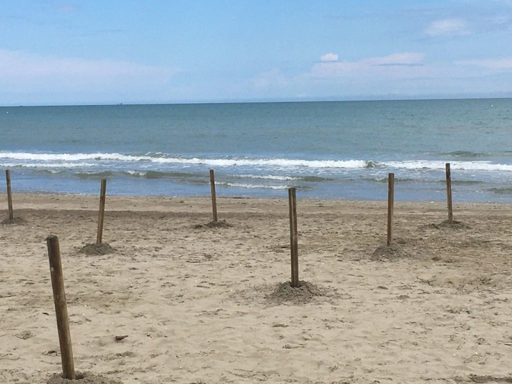 Arriva UAU, l'App che monitora le spiagge libere