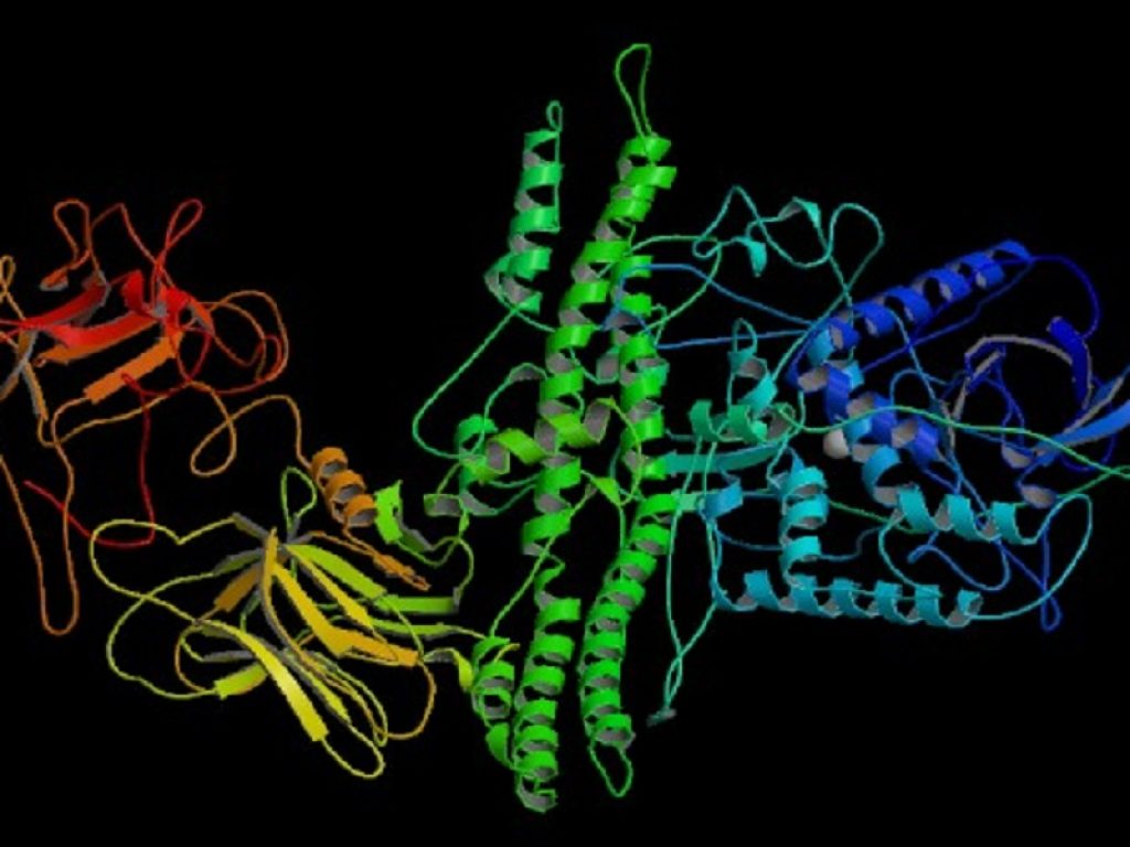 Tossina botulinica efficace in alcune lesioni sportive e nel dolore cronico: è quanto emerge da una ricerca appena pubblicata sul Current Sports Medicine Reports