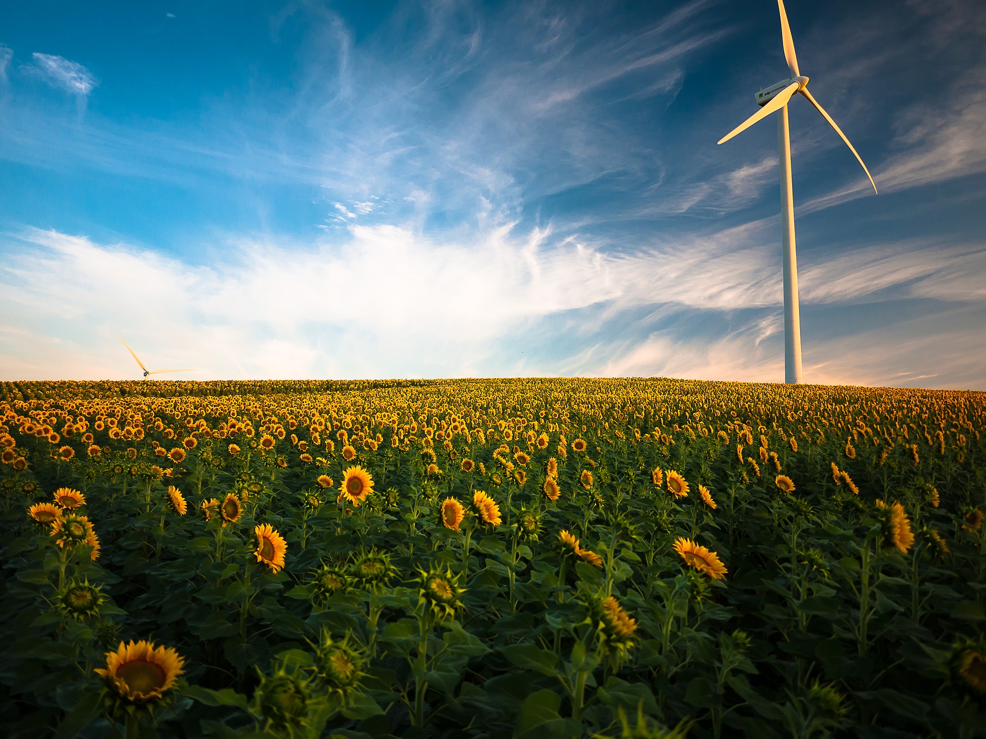 Rinnovabili: in Italia il 36% dell’energia è green. Terzi in Europa