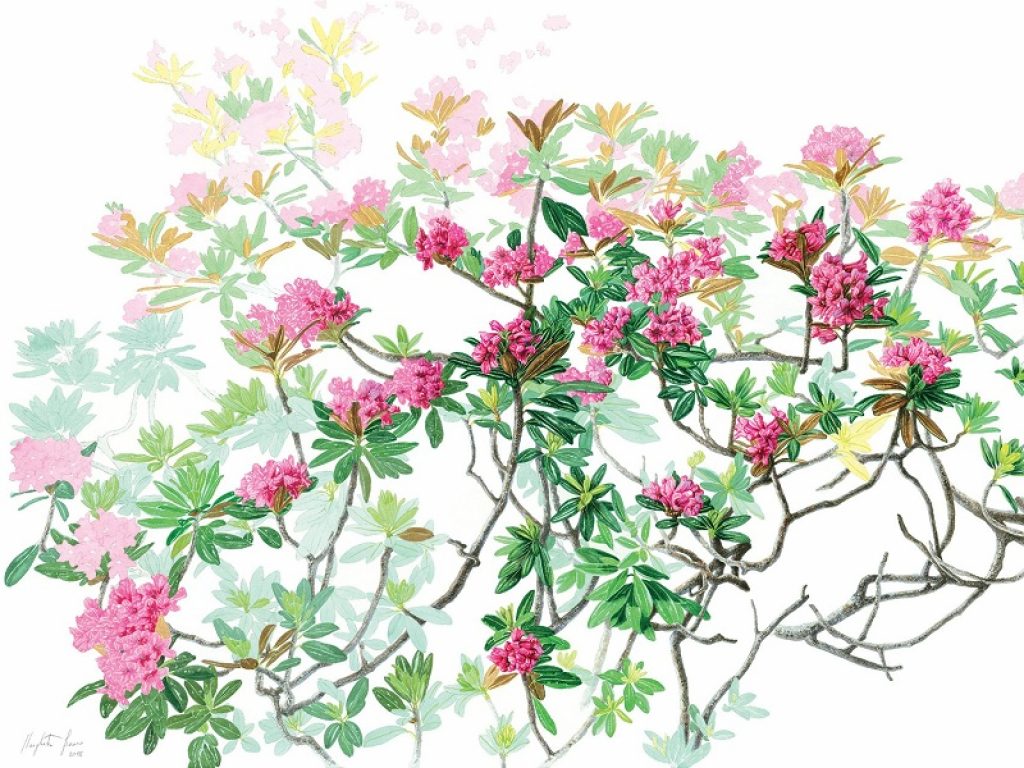 Herbarium vagans: la mostra itinerante in Piemonte