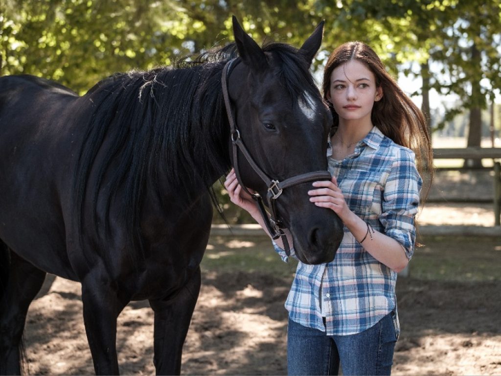 Kate Winslet sarà la voce di Black Beauty su Disney+: l’adattamento cinematografico del classico della letteratura annovera nel cast Mackenzie Foy, Iain Glen e Claire Forlani