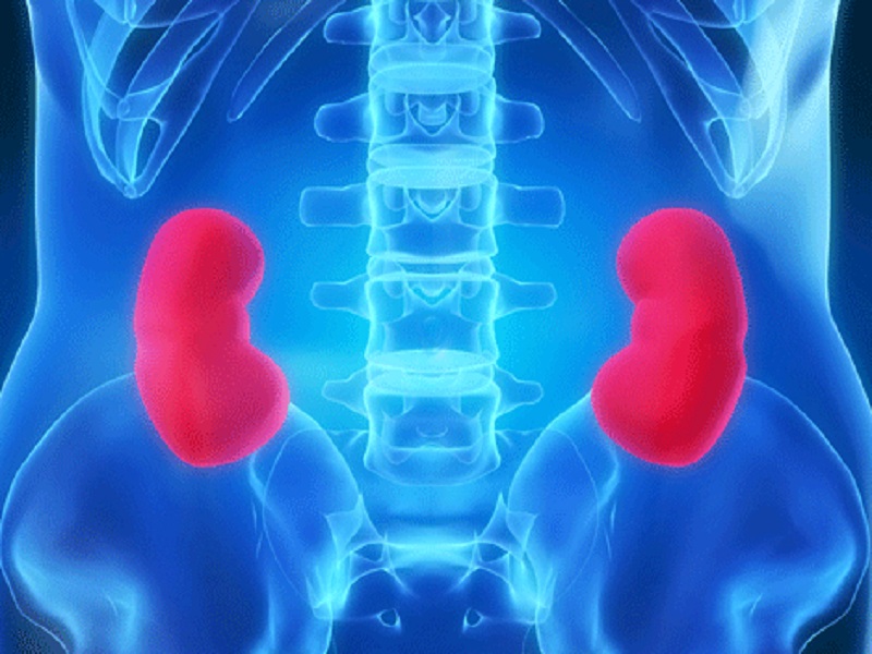 Sparsentan potrebbe diventare la prima terapia non immunosoppressiva autorizzata per il trattamento della nefropatia da IgA