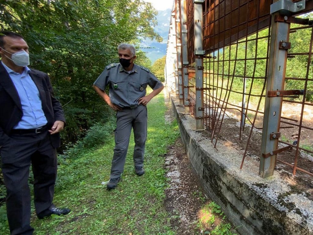 In Trentino l’orso M49 è riscappato: tre mesi in gabbia e poi la nuova fuga