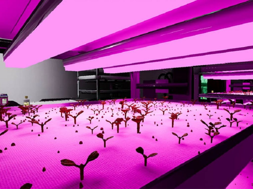 Al via il progetto sperimentale V-GELM per coltivare micro-verdure sulla Luna e in ambienti estremi come quelli polari dentro a una serra speciale