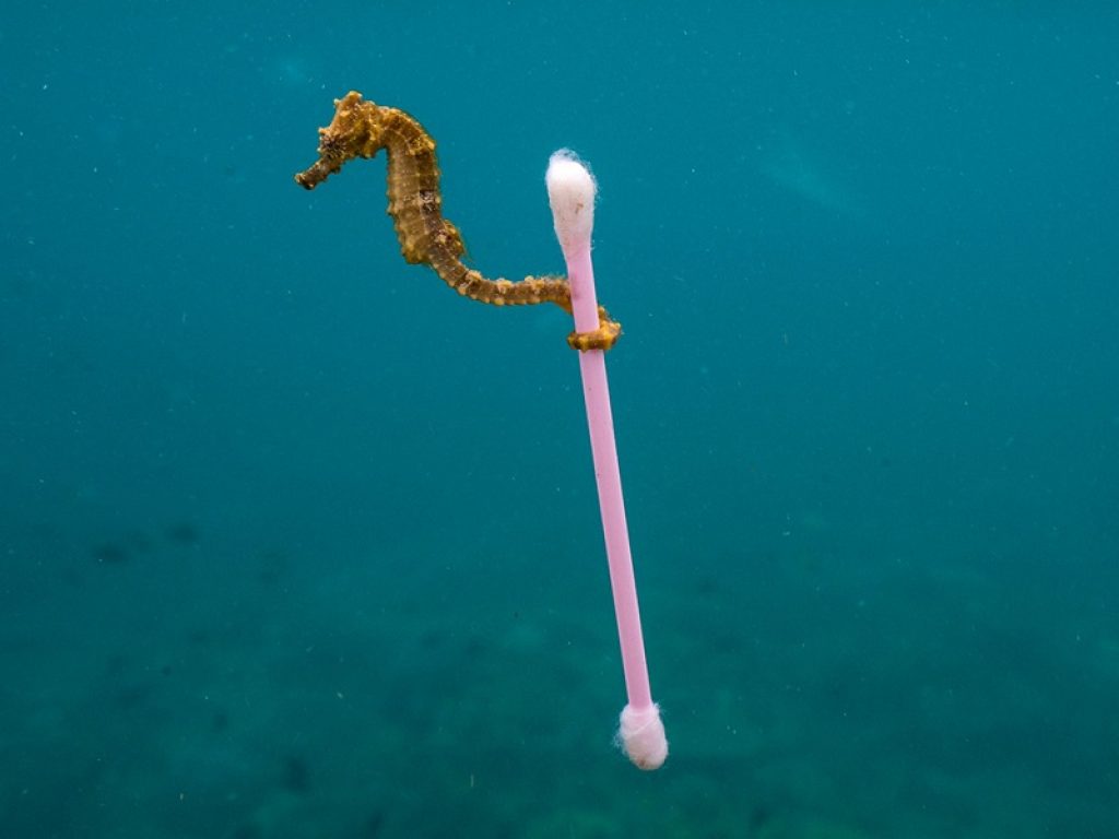 La plastica è ovunque, anche in rocce, pioggia e neve