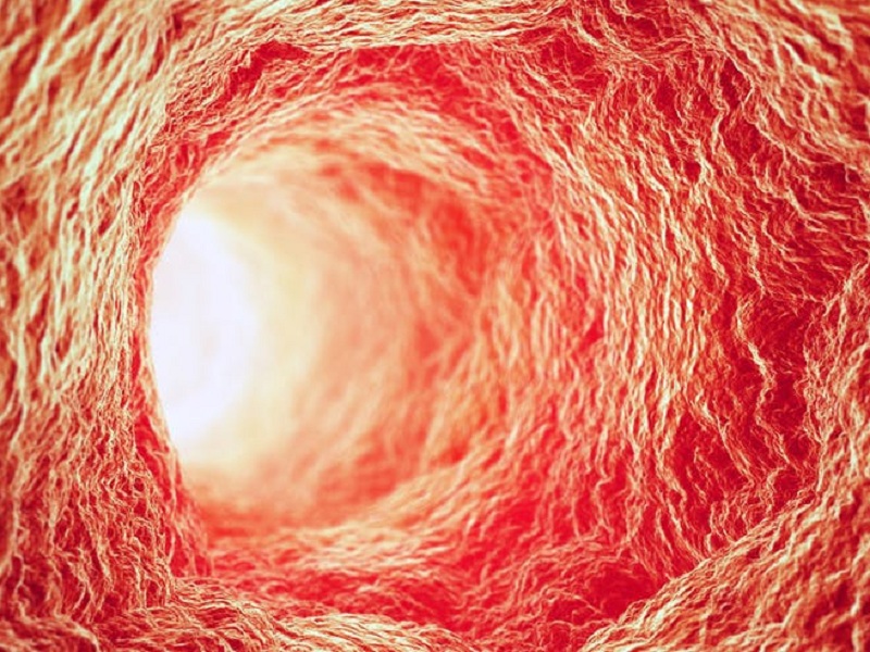 Resistenza ai farmaci: ruolo chiave dei vasi sanguigni