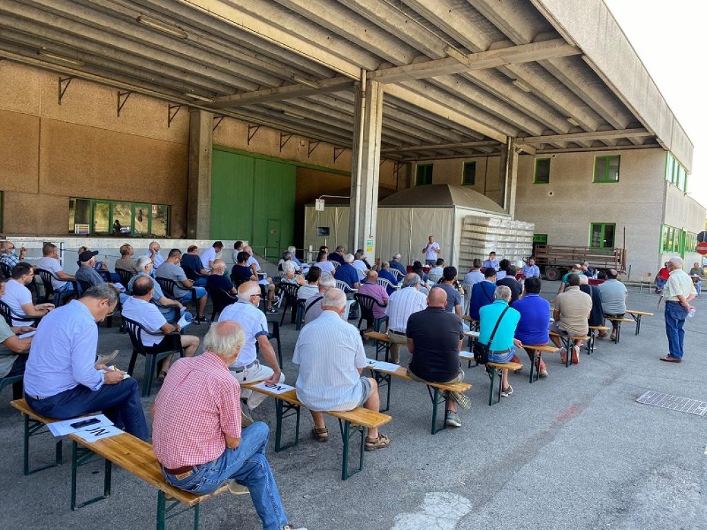 Vino: nel Chianti nasce la cooperativa Vivito