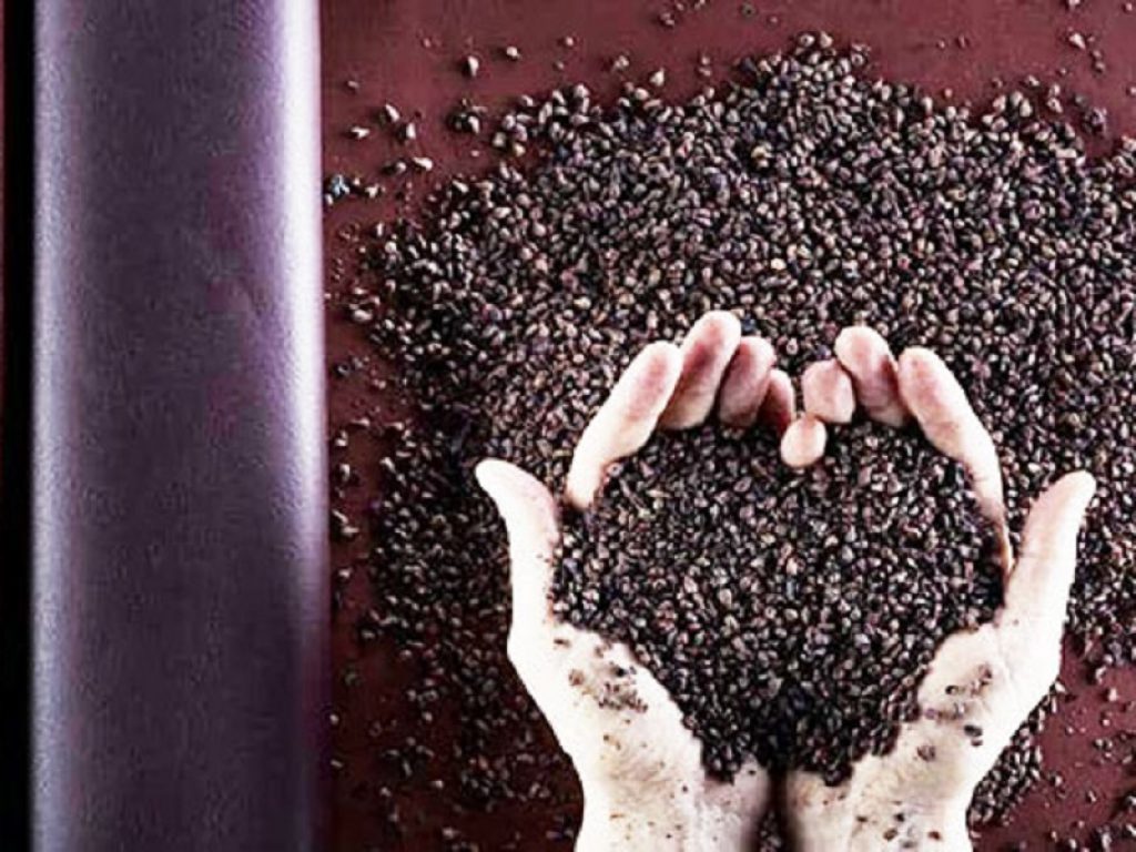 L'olandese Mercer Amsterdam lancia sul mercato delle scarpe la trainer fatta con gli scarti del vino: saranno forniti da un'azienda italiana