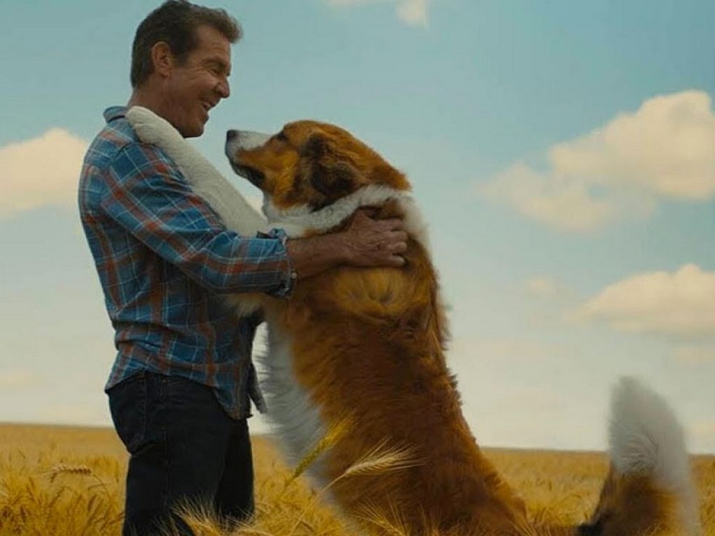 Qua la zampa 2 in home video dal 26 agosto