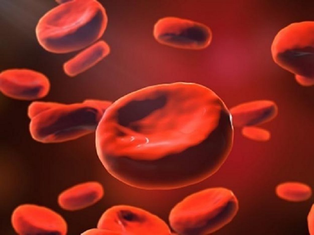 Studio PATHFINDER: un test basato sul sangue ha consentito di scoprire precocemente il tumore in 35 pazienti tra quasi 7000 soggetti sani di oltre 50 anni