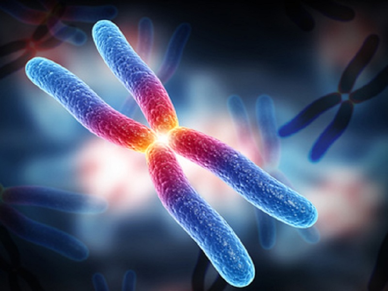 Emofilia A: Fda boccia la terapia genica di BioMarin