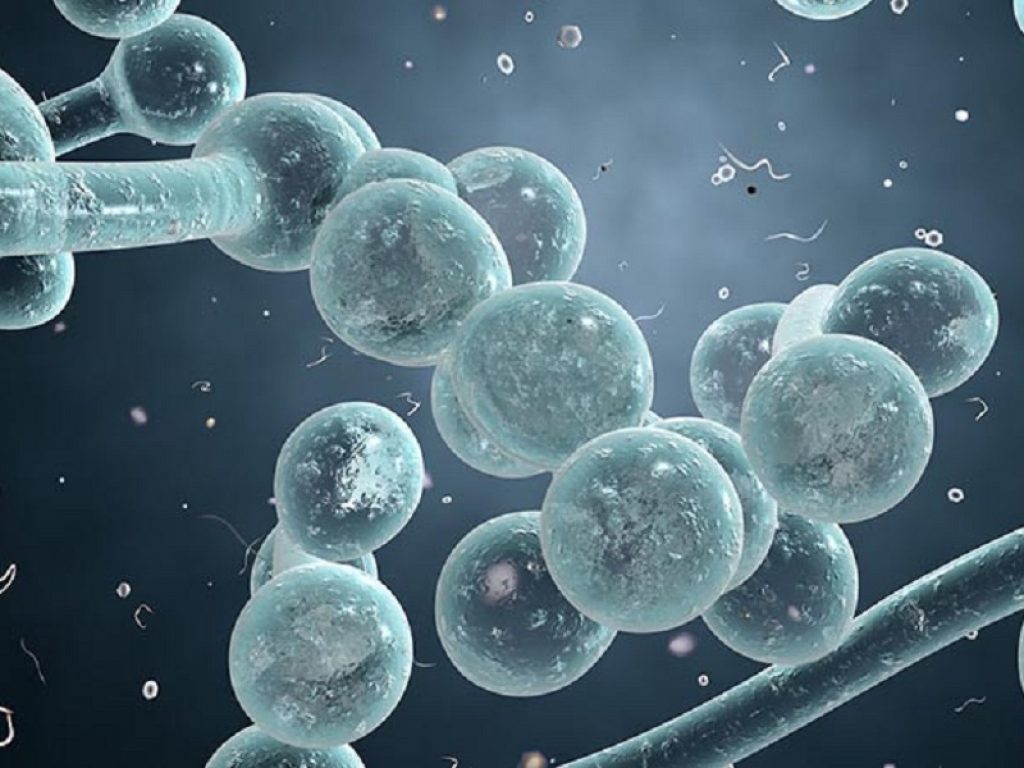 Gravità sindrome da distress respiratorio acuto legata a ridotta diversità micobioma secondo uno studio presentato al congresso ERS