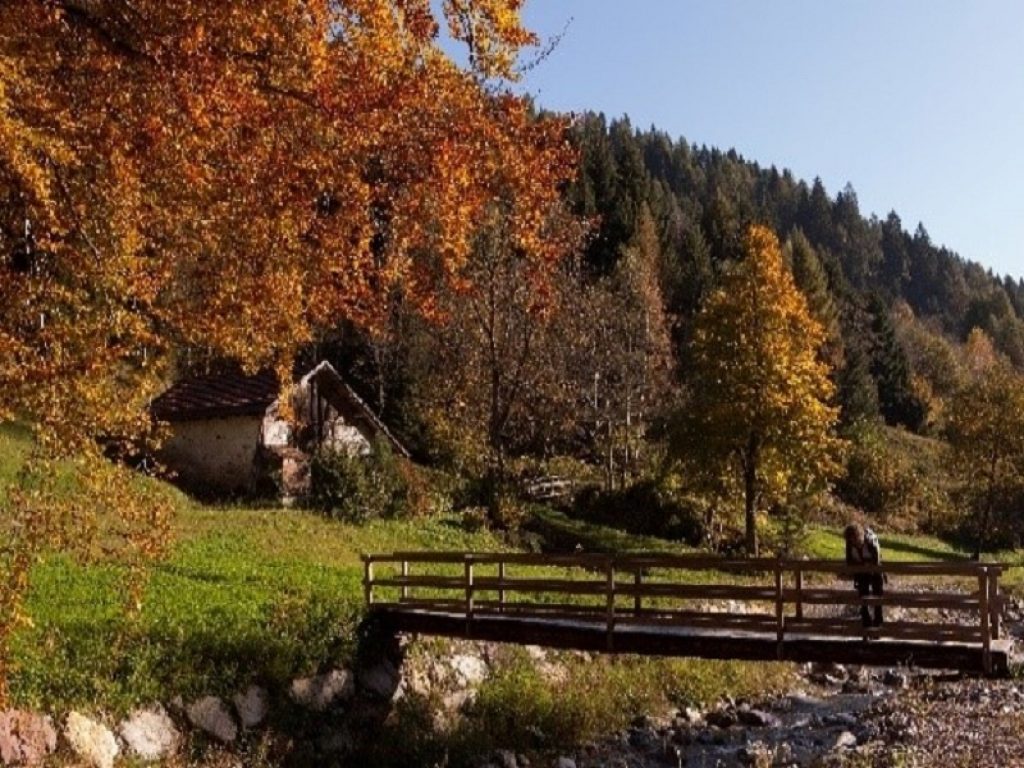 Con l'autunno la Valle del Chiese porpone weekend tra atmosfere e colori: esperienze uniche con il canto d'amore, foliage, tesori storici e farina gialla
