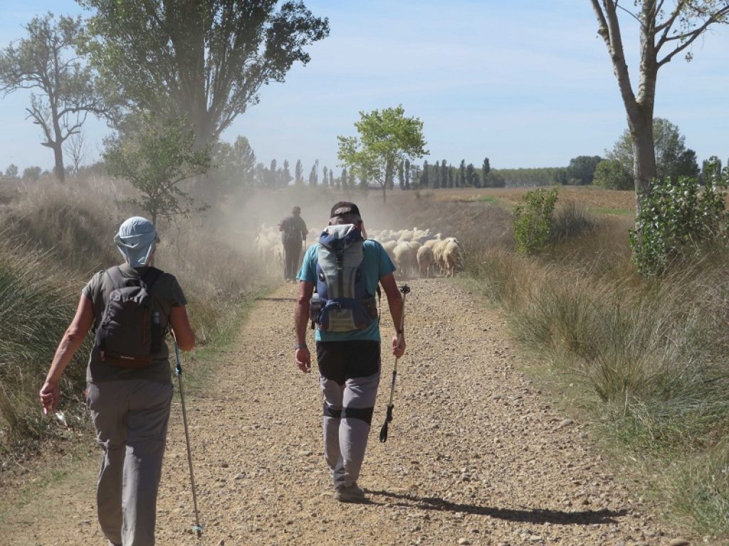 Per il diacono Vincenzo Mirto 12° pellegrinaggio sulla Via Francigena