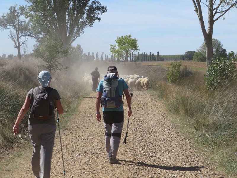 Per il diacono Vincenzo Mirto 12° pellegrinaggio sulla Via Francigena