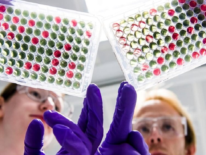 L'impegno di AstraZeneca in oncoematologia: AZFastNet è la piattaforma che ha l’obiettivo di rendere più agevole e diffuso l’accesso ai test di diagnosi molecolare