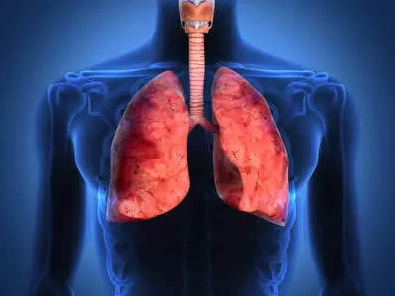 Bpco severa: ialuronato per via inalatoria migliora la funzione polmonare secondo uno studio pubblicato sulla rivista Respiratory Research