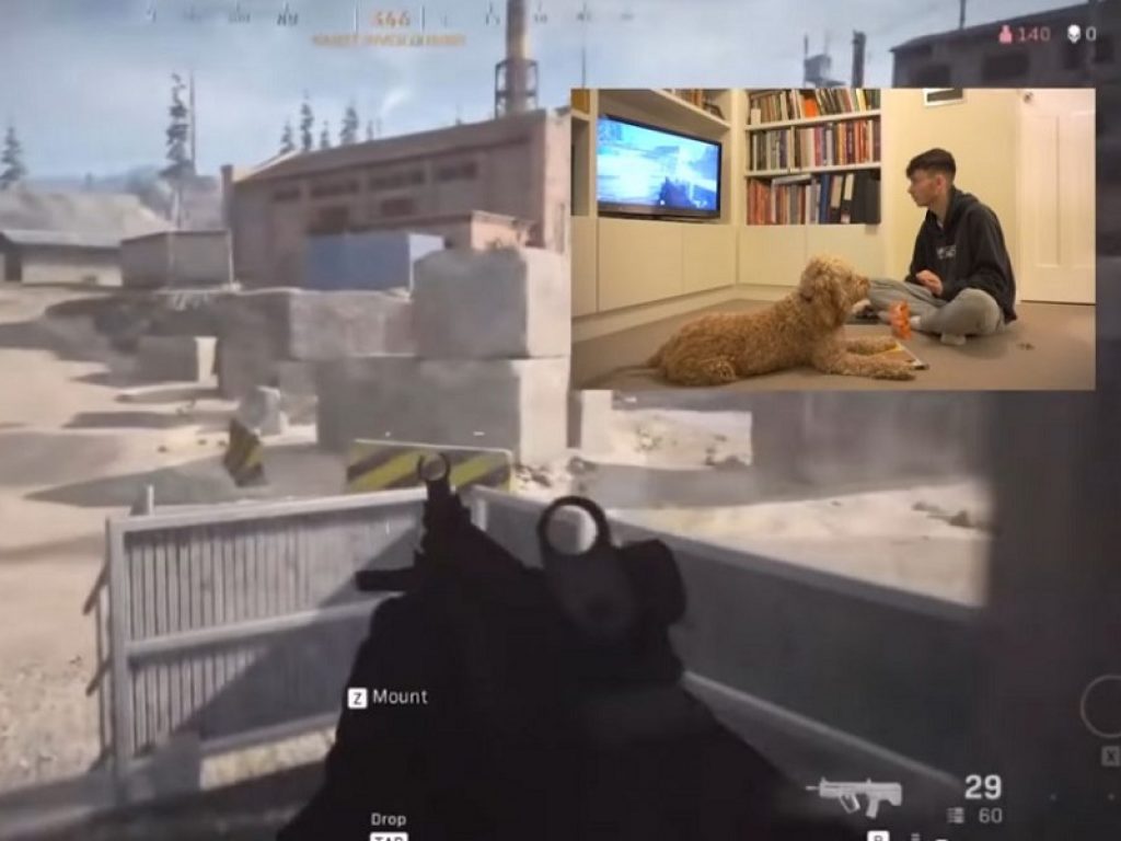 Rosie, il cane che gioca a Call of Duty Warzone