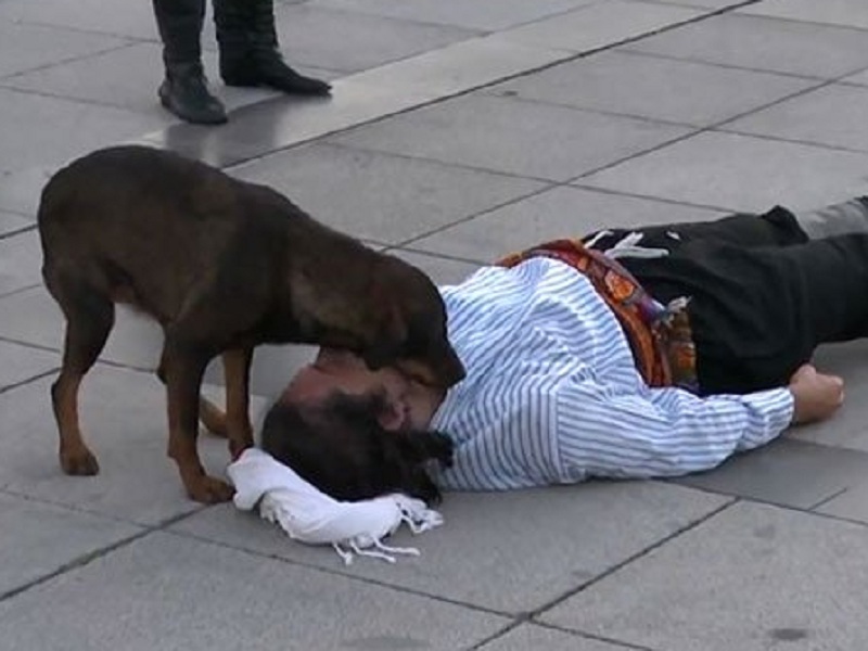 Attore finge di stare male: cane randagio prova ad aiutarlo