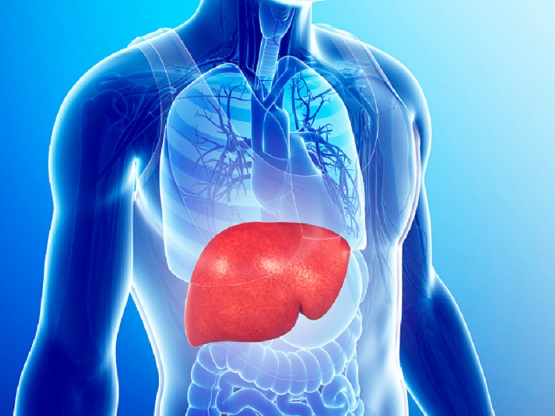 I pazienti con diabete di tipo 2 e steatosi epatica non alcolica avrebbero un rischio più elevato di scompenso epatico e anche di carcinoma epatocellulare