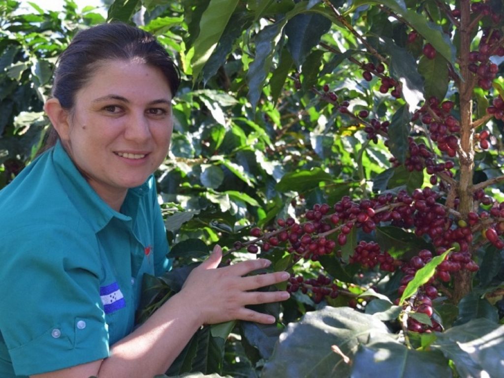 La Ong Acra salva il caffè in Honduras
