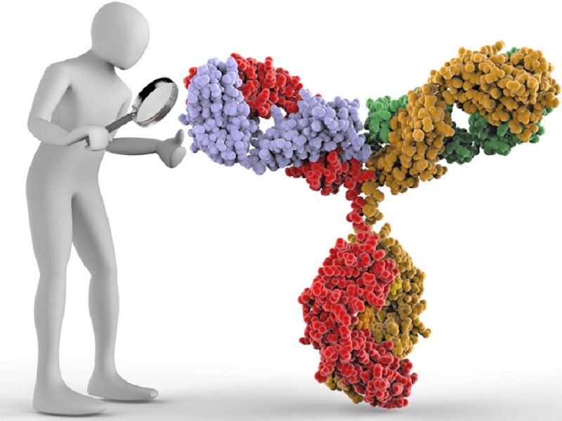Deficit di piruvato chinasi: esperti italiani hanno ideato un algoritmo per individuare prima la malattia rara