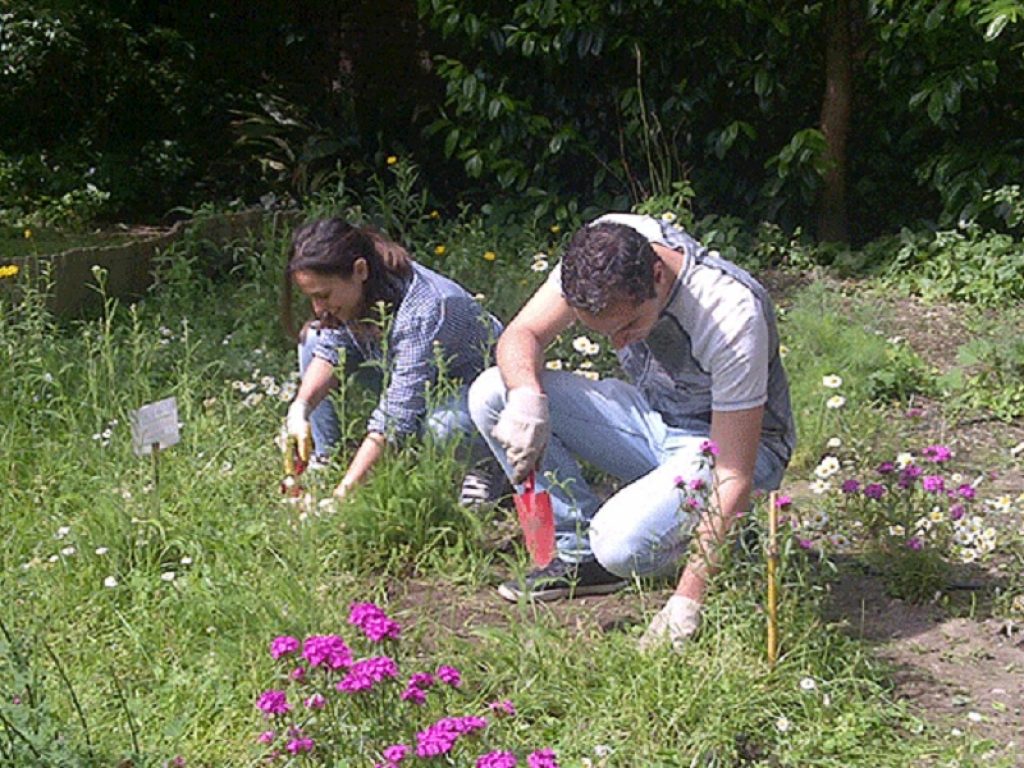 Nasce Tecnoverde: un progetto per le tecnologie di precisione per il monitoraggio e la valorizzazione del verde urbano