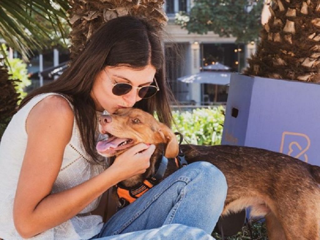 Presentato il primo integratore alimentare per la prevenzione dello sviluppo del cancro nei cani, realizzato da veterinari e nutrizionisti