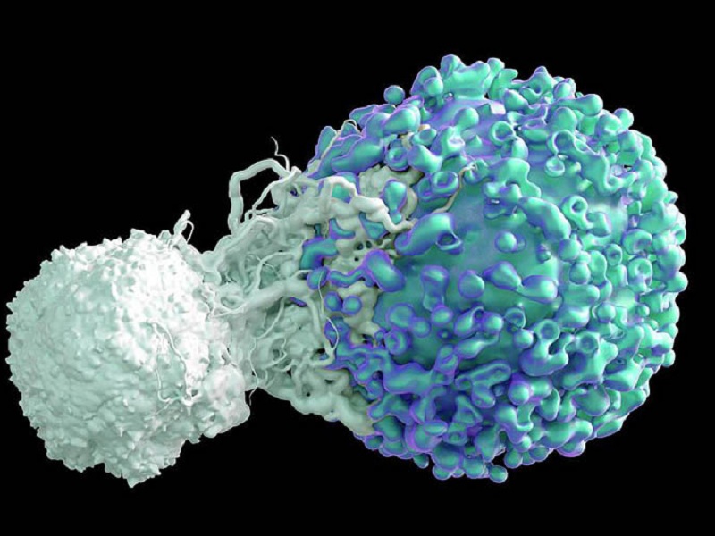 linfoma a cellule mantellari
