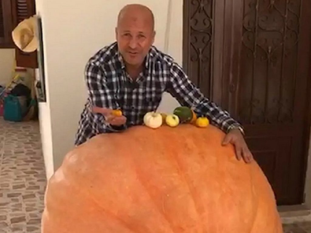 Libano: la zucca gigante di Abdul pesa 341 kg