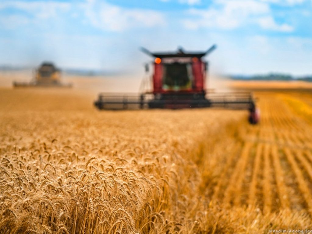 La Regione Lombardia ha esteso la tecnologia blockchain a tutte le filiere agroalimentari per tutelare i consumatori e valorizzare i prodotti