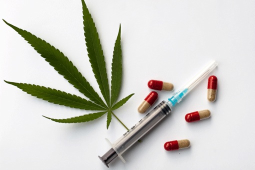 cannabis terapeutica