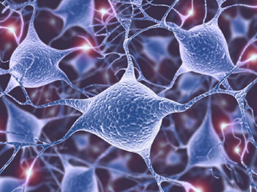 La sensibilizzazione centrale rende più difficile il trattamento del dolore cronico e favorisce il disturbo da uso di oppioidi secondo nuovi studi