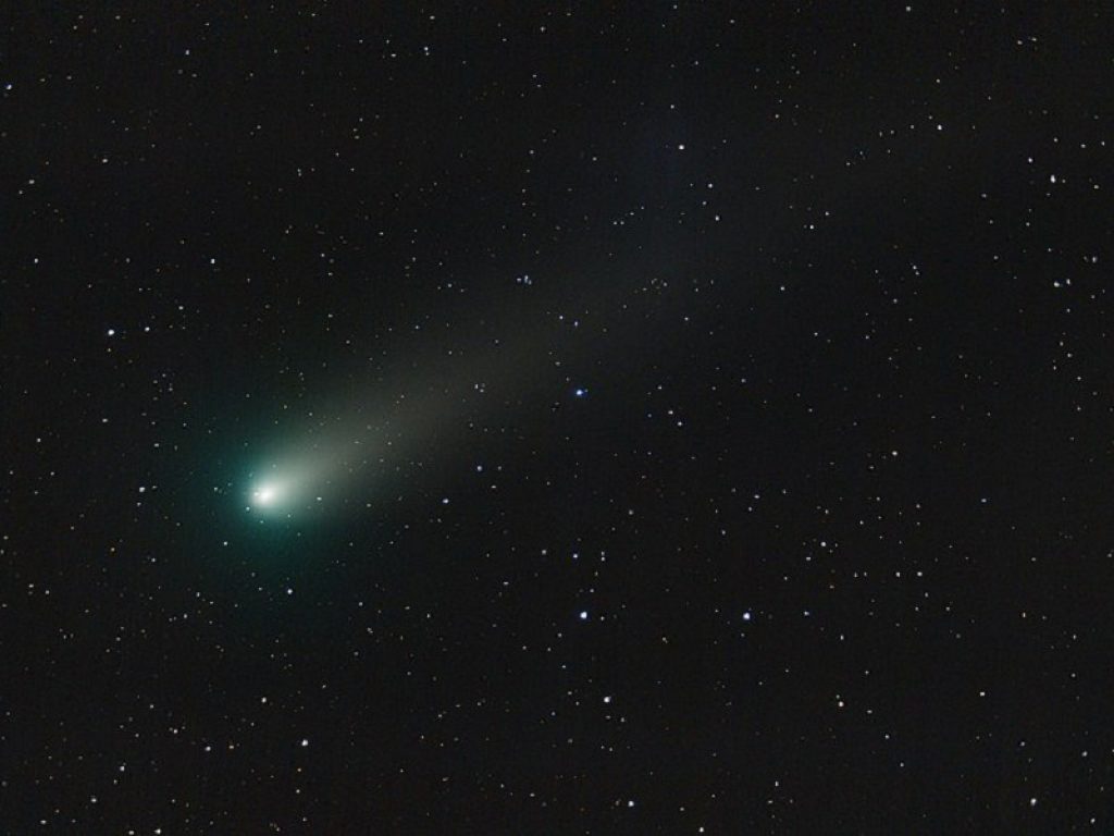 cometa swan
