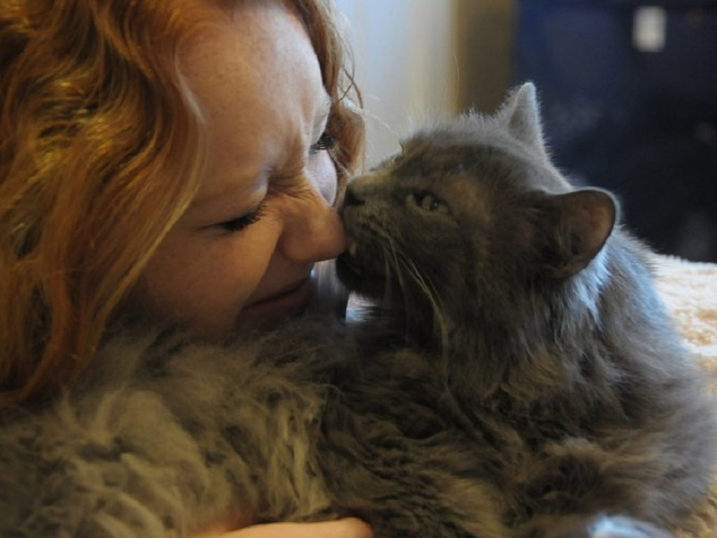 Se il gatto morde può essere un gesto d'amore