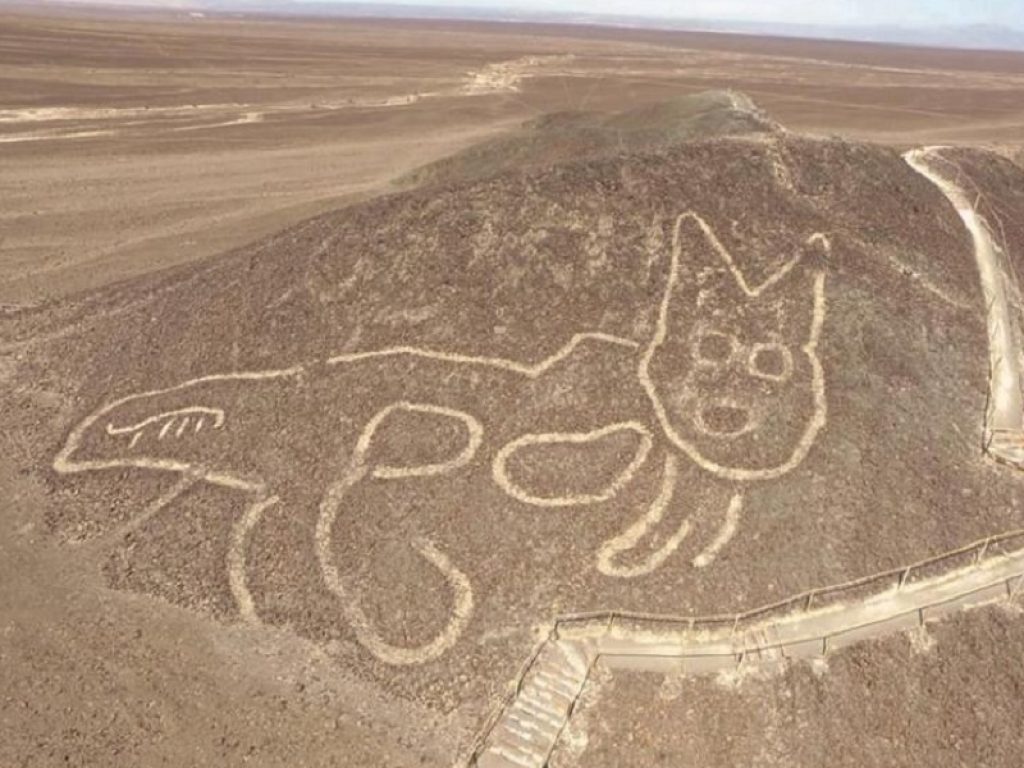 Trovato a Nazca un geoglifo di un gatto gigante