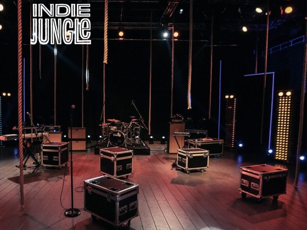 Su Sky Arte va in onda "Indie Jungle"