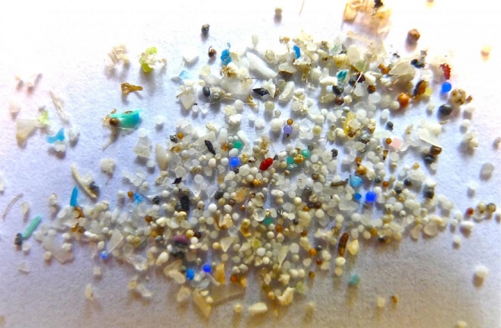Uno studio del Cnr-Irsa ha rilevato che, in acqua, i batteri che crescono sulle microplastiche derivate dagli pneumatici sono più pericolosi per l’ambiente rispetto a quelli che si sviluppano sui frammenti delle bottiglie di plastica
