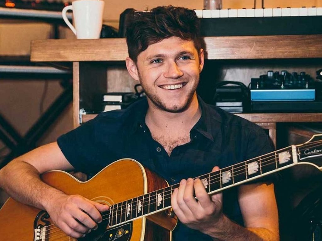 Niall Horan live in streaming a novembre