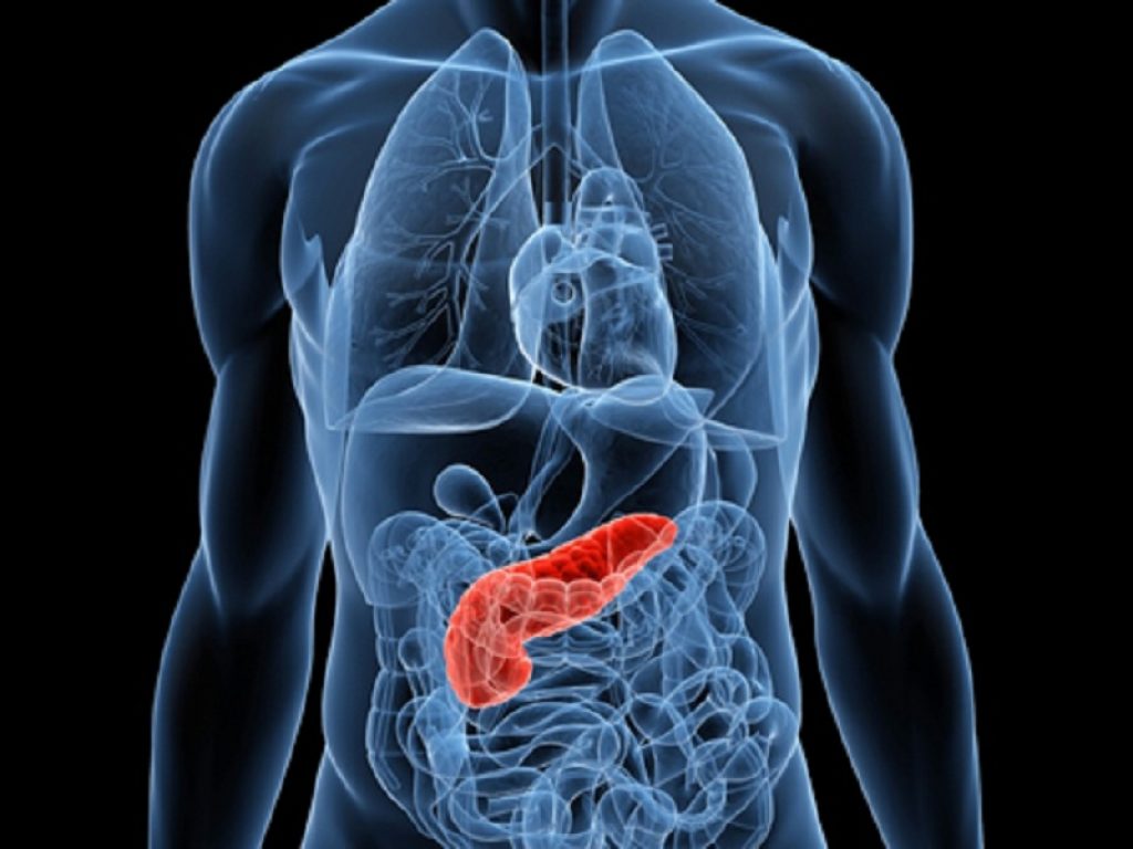 L'uso di agonisti del GLP-1 per la perdita di peso è stato associato a un aumento del rischio di pancreatite, gastroparesi e ostruzione intestinale