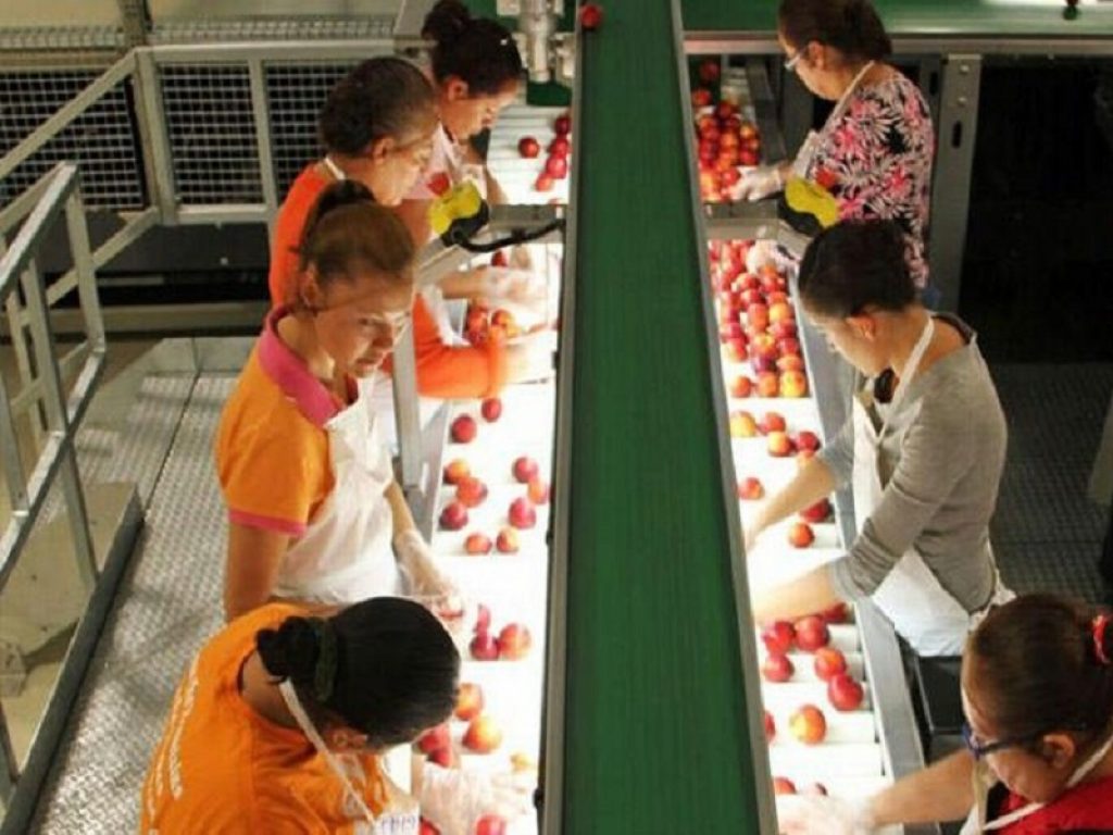 EIT Food ha lanciato per il 2022 una "call" a presentare proposte che abbiano l’obiettivo di massimizzare l’impatto sociale, economico e ambientale