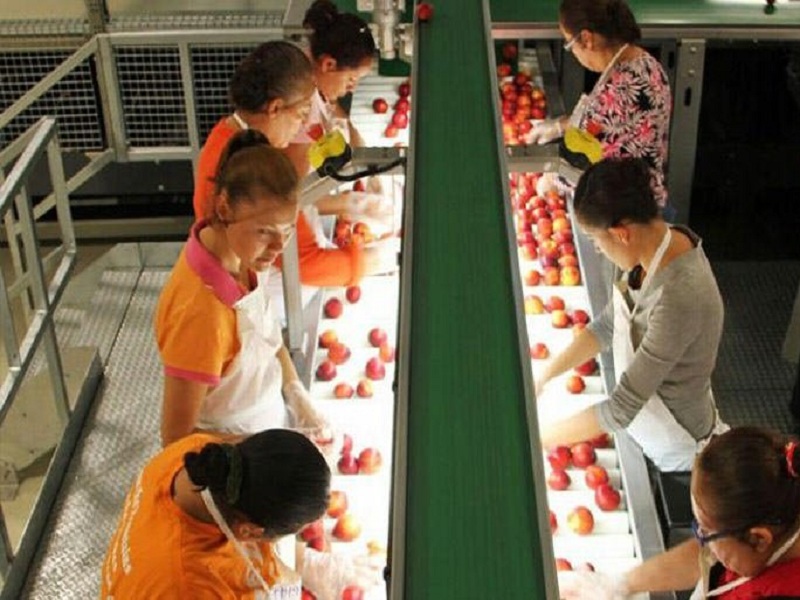 EIT Food ha lanciato per il 2022 una "call" a presentare proposte che abbiano l’obiettivo di massimizzare l’impatto sociale, economico e ambientale