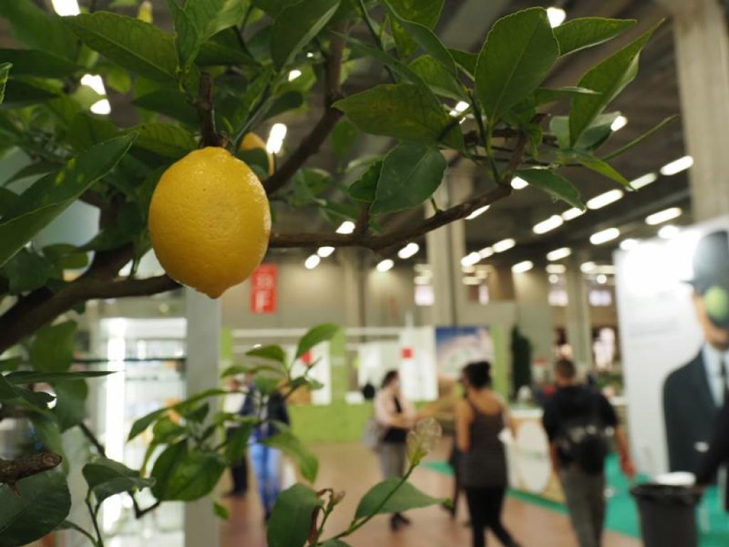 AssoBio partecipa al progetto Sanatech, la nuova Rassegna internazionale della filiera produttiva del biologico e del naturale, in programma dal 9 al 12 settembre a BolognaFiere