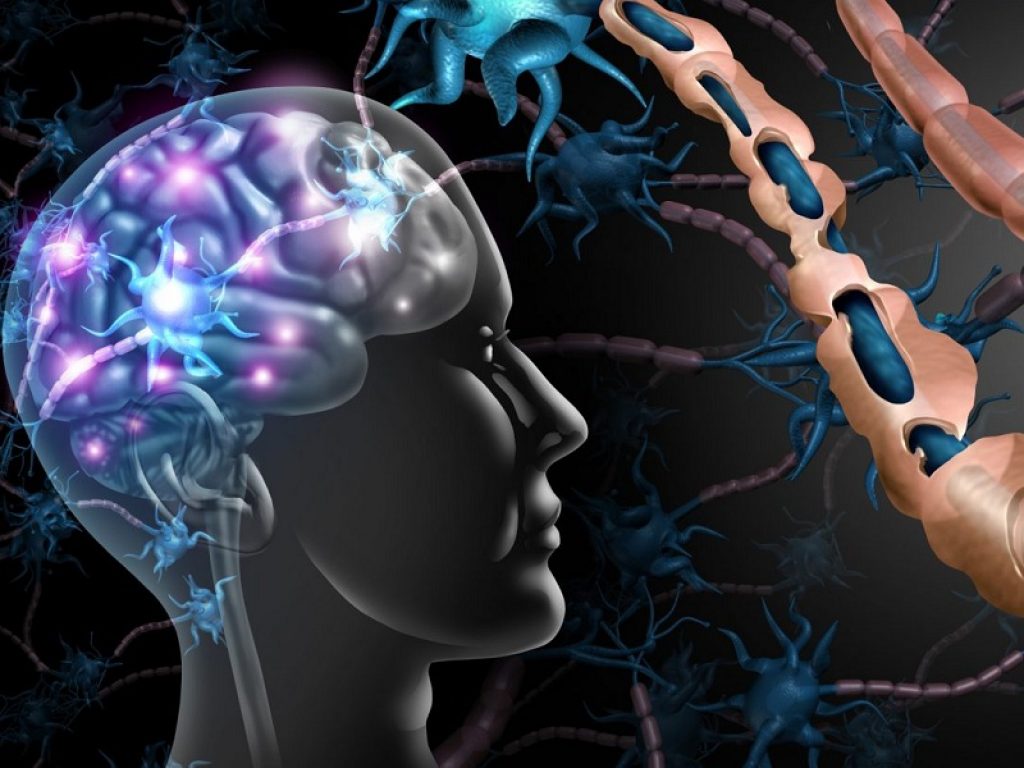 Nei pazienti con sclerosi multipla trattati con tolebrutinib nuovi studi hanno rilevato benefici clinici e radiologici fino a tre anni