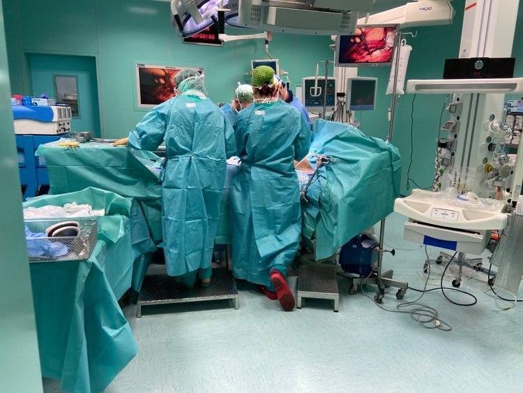 Nuove opzioni terapeutiche contro le metastasi al fegato: grazie al protocollo sperimentale “COLT” a Niguarda si punta al trapianto dell’organo