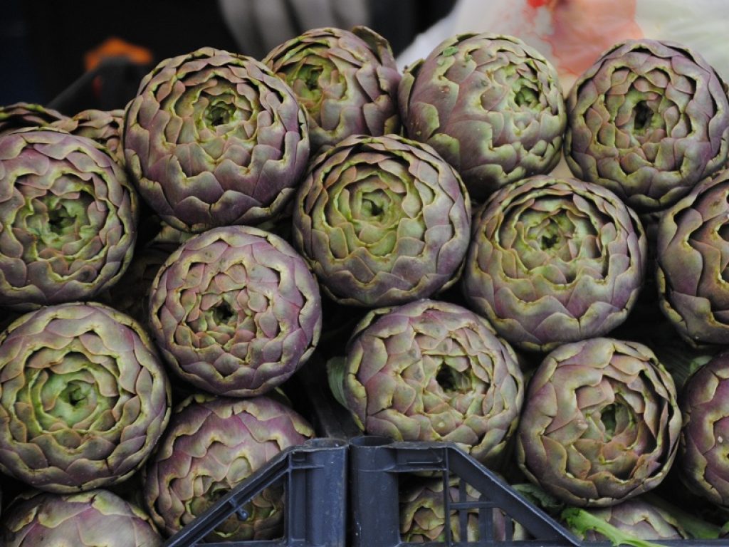 carciofi