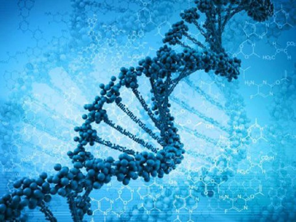 Sindrome di Prader-Willi: serve multidisciplinarietà