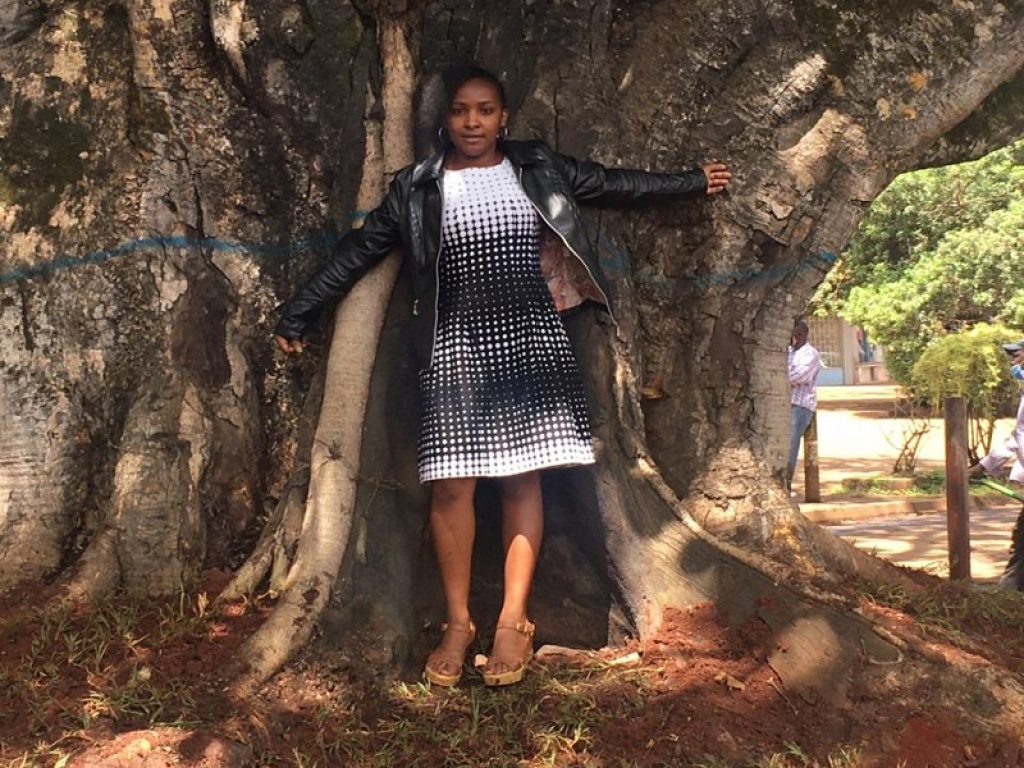 Il fico di Nairobi è salvo, ambientalisti in festa in Kenya